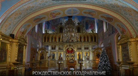 Рождественское поздравление архиепископа Подольского и Люберецкого Аксия